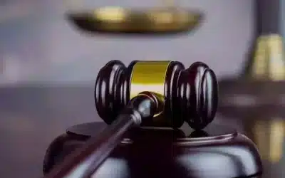 Belgique – Empiétement sur le terrain d’autrui : retour à la conception traditionnelle de l’abus de droit – Arrêt de la Cour constitutionnelle du 25 avril 2024