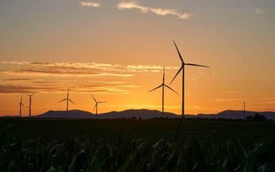 Création d’un observatoire des énergies renouvelables et de la biodiversité (Décret)