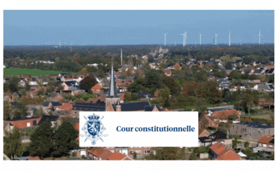 Belgique – Région flamande – Arrêt du 4 avril 2024 – La Cour constitutionnelle rejette les recours introduits contre contre le décret de la Région flamande du 26 mai 2023 « modifiant le Code flamand de l’Aménagement du Territoire du 15 mai 2009, en ce qui concerne les zones de réserve d’habitat »