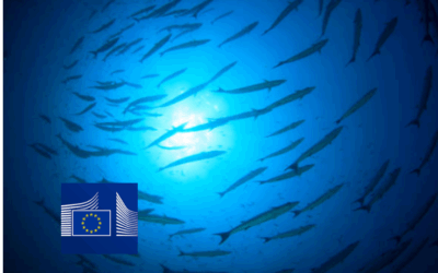 Europe – The European Commission unveiled its European Oceans Pact on June 5, 2025