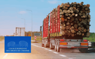 Europe – In a judgment delivered on 13 November 2025 (C-117/24), the European Court of Human Rights held that Article 4 of Regulation (EU) No 995/2010 of the European Parliament and of the Council of 20 October 2010 “laying down the obligations of operators who place timber and timber products on the market,” which requires every operator to use a due-diligence system that includes access to information on the origin of the timber, an assessment of the risk that the timber comes from illegal harvesting, and risk-mitigation measures where the risk is not negligible, must be interpreted as meaning that it is not sufficient for an operator belonging to a corporate group to have access to the elements of a due-diligence system established, maintained, and assessed by the parent company of that group or by a monitoring organization used by that parent company. Each operator must use its own due-diligence system for its imports, maintain it, and assess it, unless it uses a system established by a recognised monitoring organization that is not used by its parent company