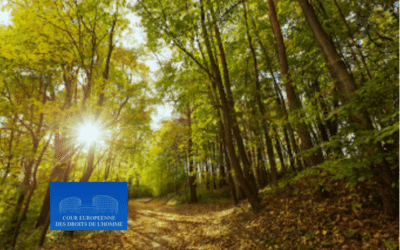 Europe – In its judgment of 9 April 2026 (case no. 47565/22, Vendrame and Others v. Italy), the European Court of Human Rights held that environmental restrictions limiting the use of agricultural land, without constituting expropriation, may not give rise to compensation where they are provided for by law, pursue a legitimate aim in the public interest, and strike a fair balance between that interest and the rights of property owners