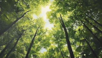 World – adoption on May 20, 2026, by the United Nations General Assembly of a resolution recognizing the responsibility of States that fail to comply with their climate commitments and legal obligations